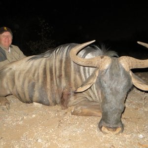 Blue Wildebeest Hunting Limpopo South Africa