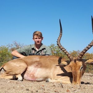 Impala Hunting Limpopo South Africa