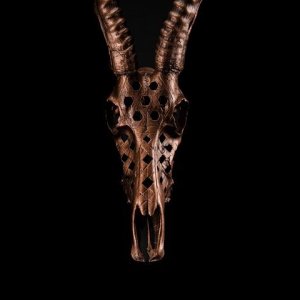 Blesbok Skull Carving