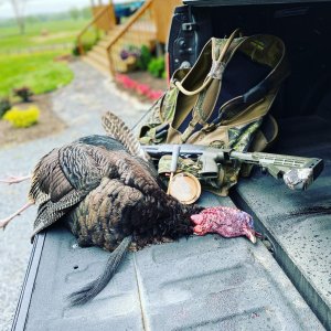 Turkey Hunting Northern Virginia