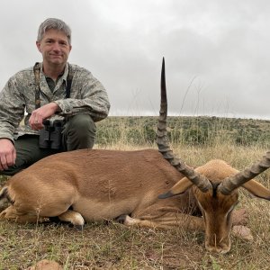 Impala Hunting South Africa