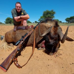 Black Wildebeest Hunting