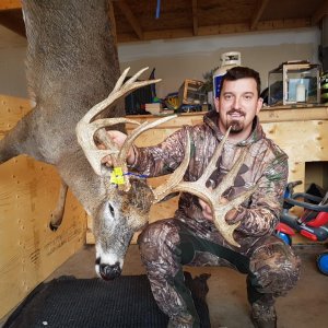 Whitetail Deer Bow Hunt