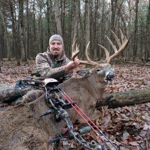 Whitetail Deer Bow Hunt