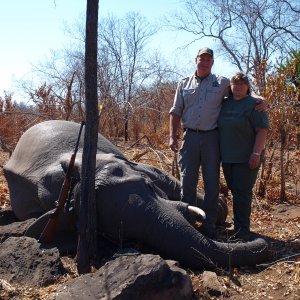 Zimbabwe Elephant Hunting