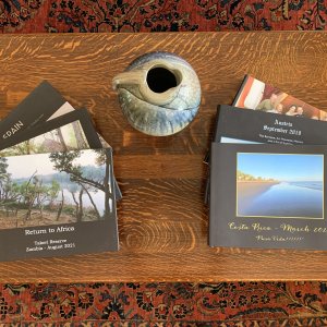 Safari Coffee Table Journals