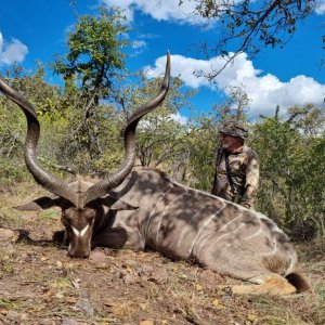 Kudu Hunting South Africa