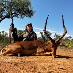 Impala Hunting South Africa