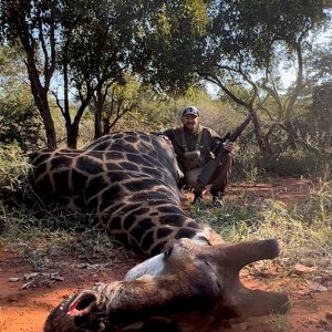 Giraffe Hunting South Africa