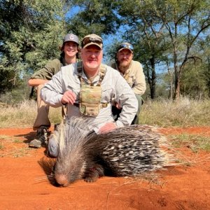 Porcupine Hunting South Africa