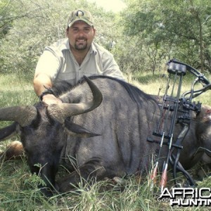 Bowhunting Wildebeest