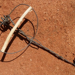 Trap made of fence wire