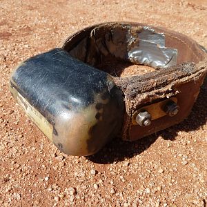 Radio Collar found on dead Caracal