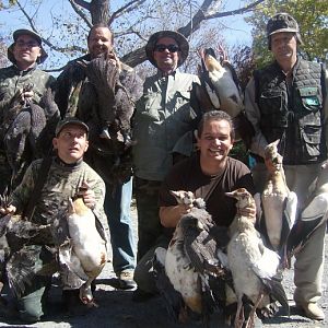 Bird hunting with Savanna Hunting Safaris