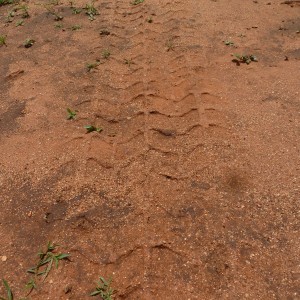 Hummer Track