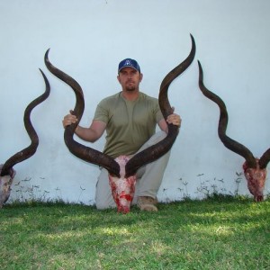 Middle Kudu 59 3/4 inches