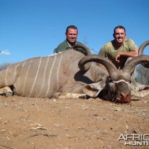 Kudu 59 3/4 inches