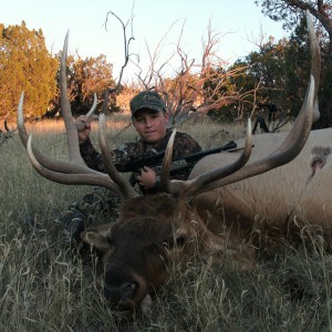Hunting Elk New Mexico