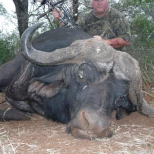 Buffalo Hunt