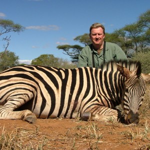 Burchell's Zebra