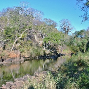 Suvali Ranch, The Save 2010