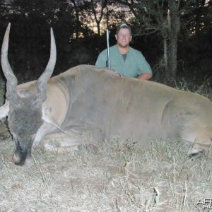 Eland Hunt at Savuli Ranch, The Save, Zimbabwe