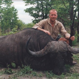 Cape Buffalo, Zimbabwe.