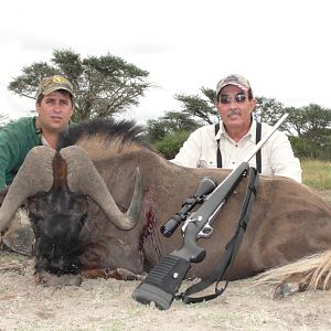 Hunting Black Wildebeest