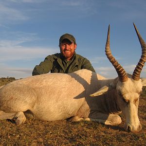 Hunting White Blesbok