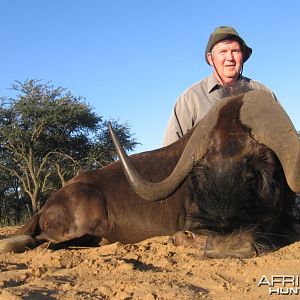 Hunting Black Wildebeest