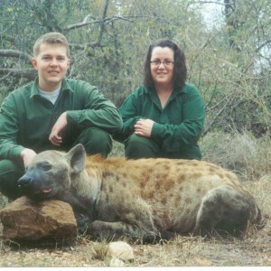 Hunting Hyena