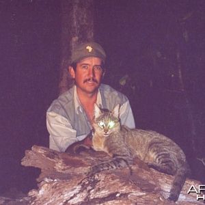 Hunting African Wildcat
