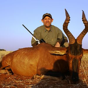 Hunting Hartebeest