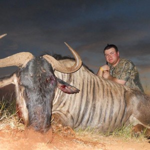 Blue Wildebeest hunt in South Africa with HartzView Hunting Safaris
