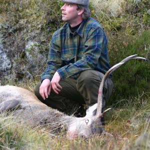 Hunting Red Stag in Scotland