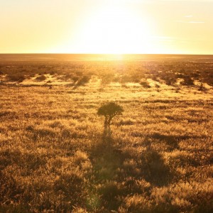 African Sunrises, here at the edge of the Kalahari - always beautiful