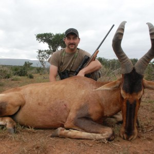 Hunting Hartebeest