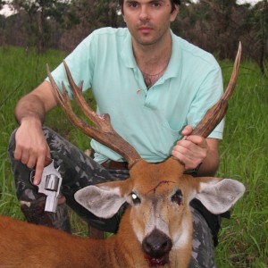 Hunting Swamp Deer
