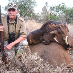 Hunting Warthog