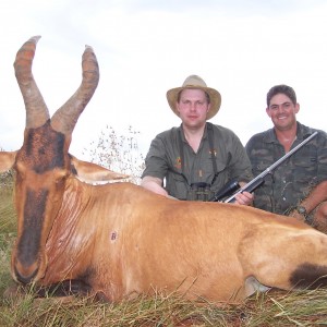 Hunting Hartebeest Kimberley South Africa