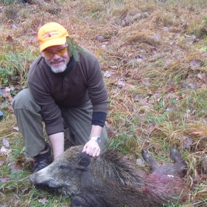 Hunting Wild Boar