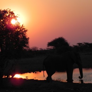 Sunset Etosha Namibia
