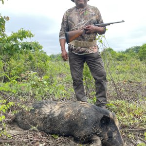 Hog Hunting Mississippi