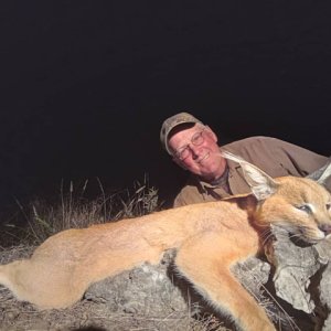 Caracal Hunting Botswana