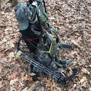 Hoyt Carbon Defiant 34 Bow & Hunting Gear