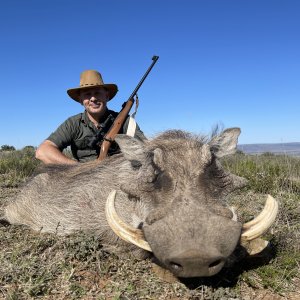 Warthog Hunting South Africa