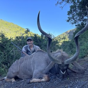 Kudu Hunting South Africa