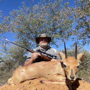 Steenbok Hunting Botswana