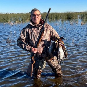 Rosy Billed Pochards Duck Hunting Argentina