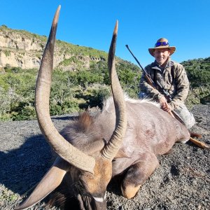 Nyala Hunt Eastern Cape South Africa